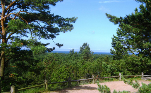 39_Avikalnio apzvalgos aikst..jpg